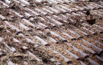 Widewell roof cleaning companies